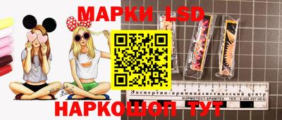 МДПВ Кимры