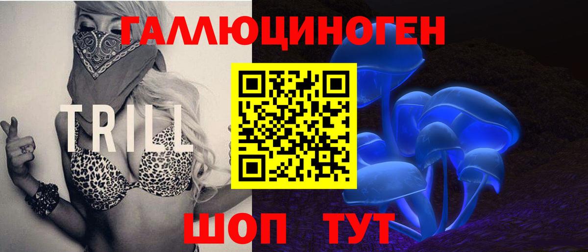 Галлюциногенные грибы GOLDEN TEACHER  как найти закладки  Вход с VPN  Ленинск-Кузнецкий  Псилоцибиновые грибы Psilocybine cubensis 