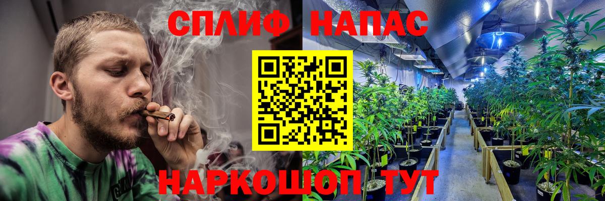 МАРИХУАНА сатива Ленинск-Кузнецкий